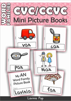 Preview of FREE Word Family Booklet (CVC & CCVC words)