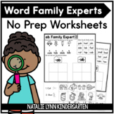 Word Families Worksheets | Word Family Practice