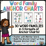 Word Family Anchor Charts & Posters | 30 Families | Intera