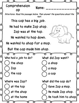 Word Family Decodable Passages with Comprehension Questions by Klever