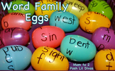 Word Family Plastic Easter Eggs