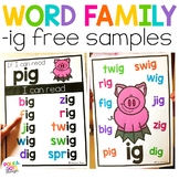 Ig Word Family Worksheets & Teaching Resources | TpT