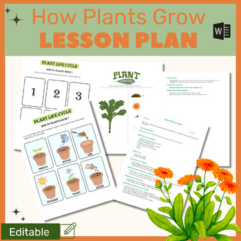 Preview of Word Lesson Plan Unveiling the Mystery of How Plants Grow in Preschool Science