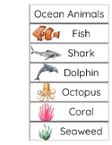 Word Rings - Ocean Animals (Picture Word Cards)