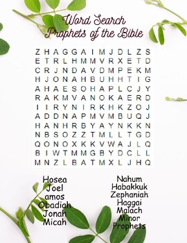Preview of Word Search Prophets of the Bible