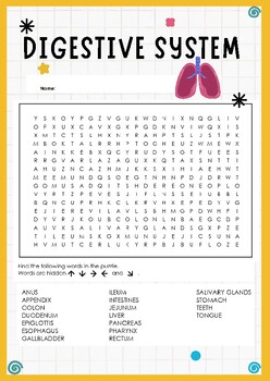 Preview of Word Search Puzzle Title: "Discover the Digestive System" (18 words)