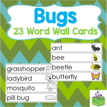 Preview of Insects Bugs Word Wall Cards