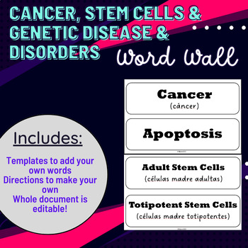 Preview of Word Wall: Cancer, Stem Cells, Genetic Disorder & Disease