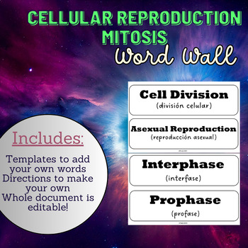 Preview of Word Wall: Cellular Reproduction - Mitosis