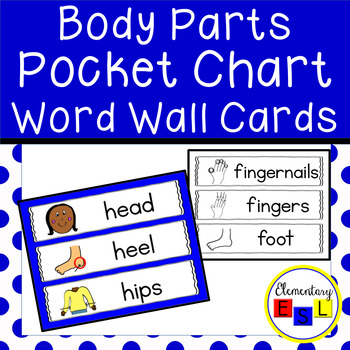 Preview of Word Wall Pocket Chart Cards: Body Parts Vocabulary for ESL/ESOL/ELL & Speech