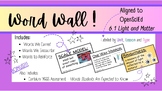 Word Wall Vocabulary  - (Aligned to OpenSciEd - 6.1 Light 
