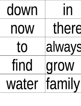 Preview of Word Wall Words