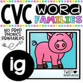 CVC Word Family 'IG' No Prep Phonics Printables