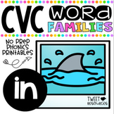 CVC Word Family 'IN' No Prep Phonics Printables