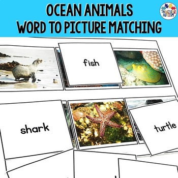 Preview of Ocean Animals Kindergarten Word to Picture Matching Activity