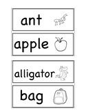 Word wall - big tiles (Pearson Owl Curriculum vocabulary words)