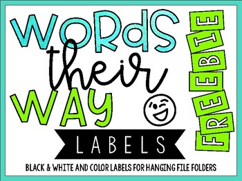 Hanging File Labels Worksheets Teaching Resources Tpt