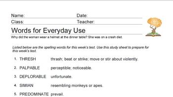 Preview of Words for Everyday Use Worksheets