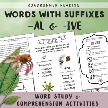 Preview of Words with the Suffixes -al and -ive Reading Passage & Comprehension Activities