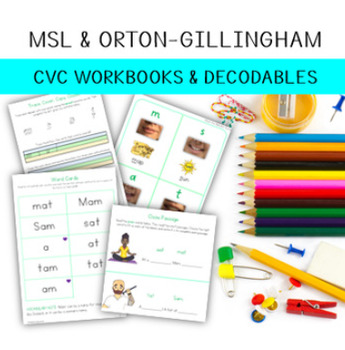 Preview of CVC Workbook - All Letters