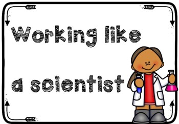 Preview of Working Like a Scientist Skills Display