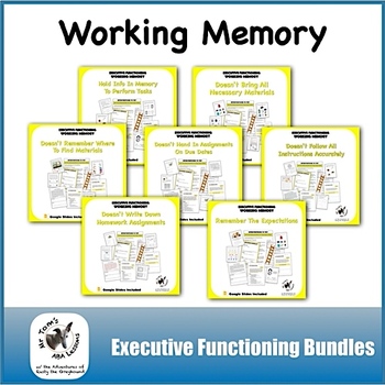 Preview of Working Memory Executive Functioning BPIS Bundle