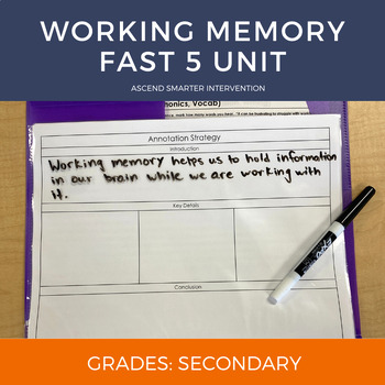 Preview of Working Memory Fast 5 Unit (6th & Up)
