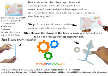 Preview of Working Model of Lungs Easy DIY Kit for 3+ Kids, Biology Science Experiment Kit