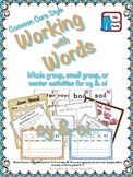 Working with Words Phonics oi and oy Common Core Style