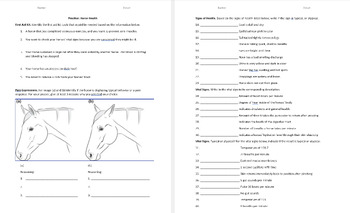 Preview of Worksheet: Assessing Horse Health (4H, FFA, Animal/Equine/Agriscience)