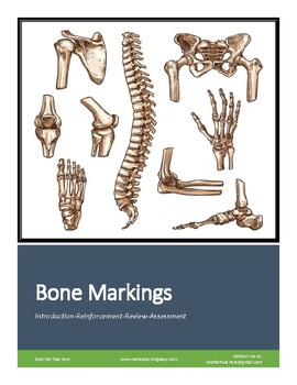 Preview of Worksheet: Bone Markings