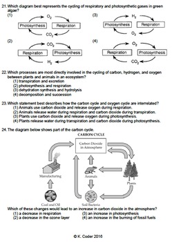 Worksheet - Carbon-Oxygen Cycle *EDITABLE* | TpT