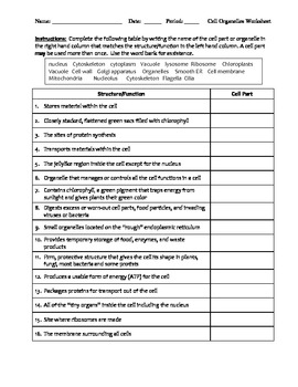 Middle School Biology Worksheet - Cell Organelles by Educator Super Store