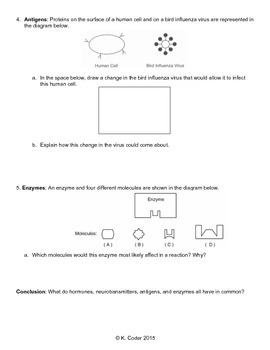 Worksheet - Cellular Communication | TpT