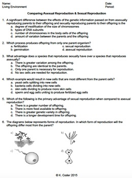 Preview of Worksheet - Comparing Asexual and Sexual Reproduction *EDITABLE*