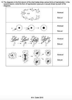 Worksheet - Comparing Asexual and Sexual Reproduction *EDITABLE*
