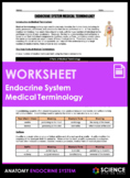 Worksheet - Endocrine System Medical Terminology - HS-LS1