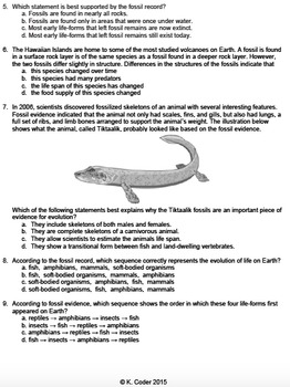 The fossil record worksheet answers
