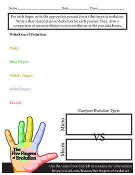 Preview of Worksheet - Five Fingers of Evolution