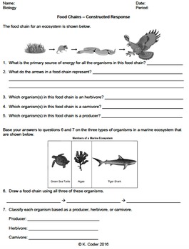 Worksheet - Food Chains Constructed Response *EDITABLE* | TpT