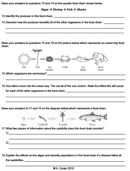 Worksheet - Food Chains Constructed Response *EDITABLE* | TPT