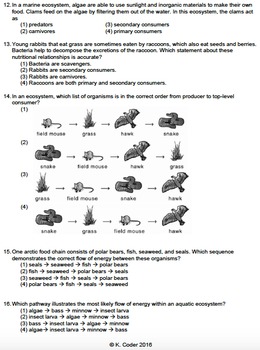 Worksheet - Food Chains Multiple Choice *EDITABLE* | TpT