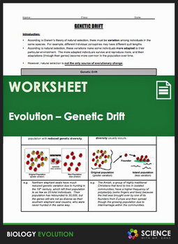 Preview of Genetic Drift Bottleneck & Founder Effect Evolution Biology Worksheet