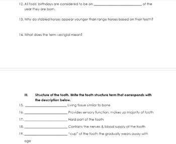 Preview of Worksheet: Horse Teeth and Tooth Structure; 4H, FFA, Equine Science, Agriscience