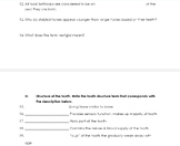 Worksheet: Horse Teeth and Tooth Structure; 4H, FFA, Equin