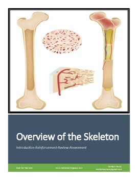 Preview of Worksheet: Introduction to Bones (Classification of Bones, Bone Structure...)