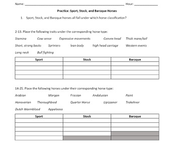 Preview of Worksheet: Light Horses; 4H, FFA, Equine/Animal Science, Agriscience, Club, Camp
