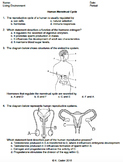 Menstrual Cycle Worksheets & Teaching Resources | TpT