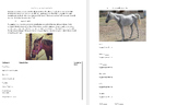 Worksheet: Pain and Body Condition Score (Equine/Animal Sc