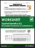 Worksheet - Squirrel Genetics With Incomplete Dominance an